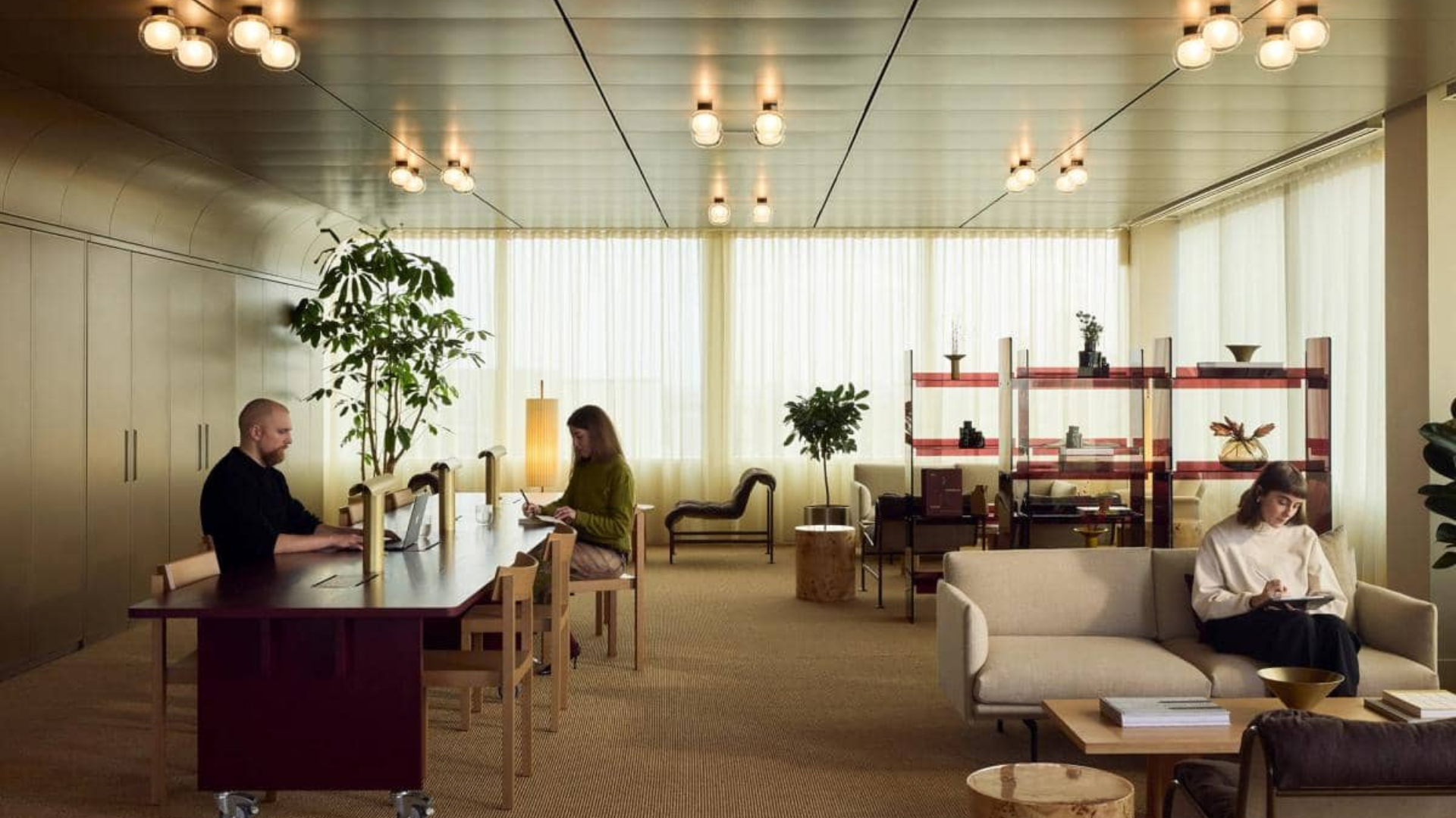 internal office view of the jellicoe workspace