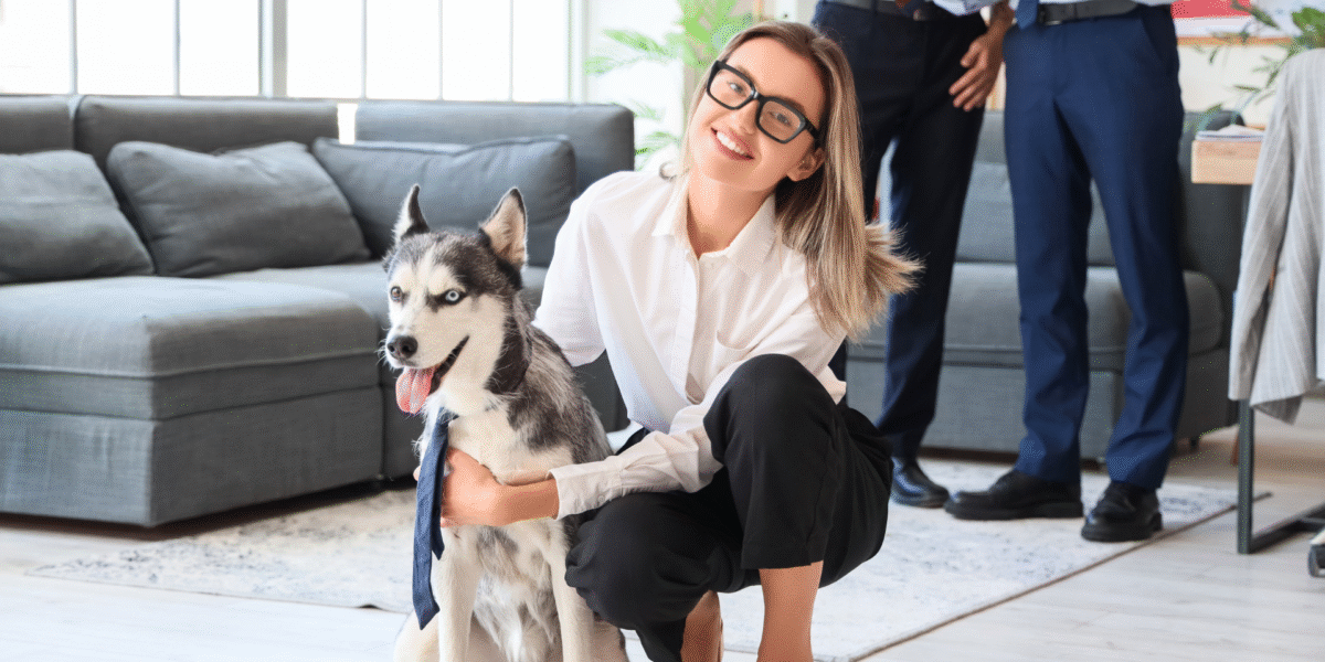 dog-friendly offices