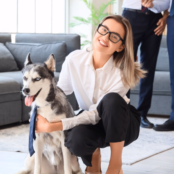 dog-friendly offices